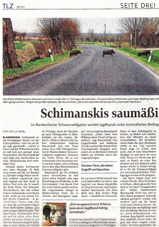 schimanskis-saumaessiges-abenteuer-tlz-v-01-11-2016-001-kl